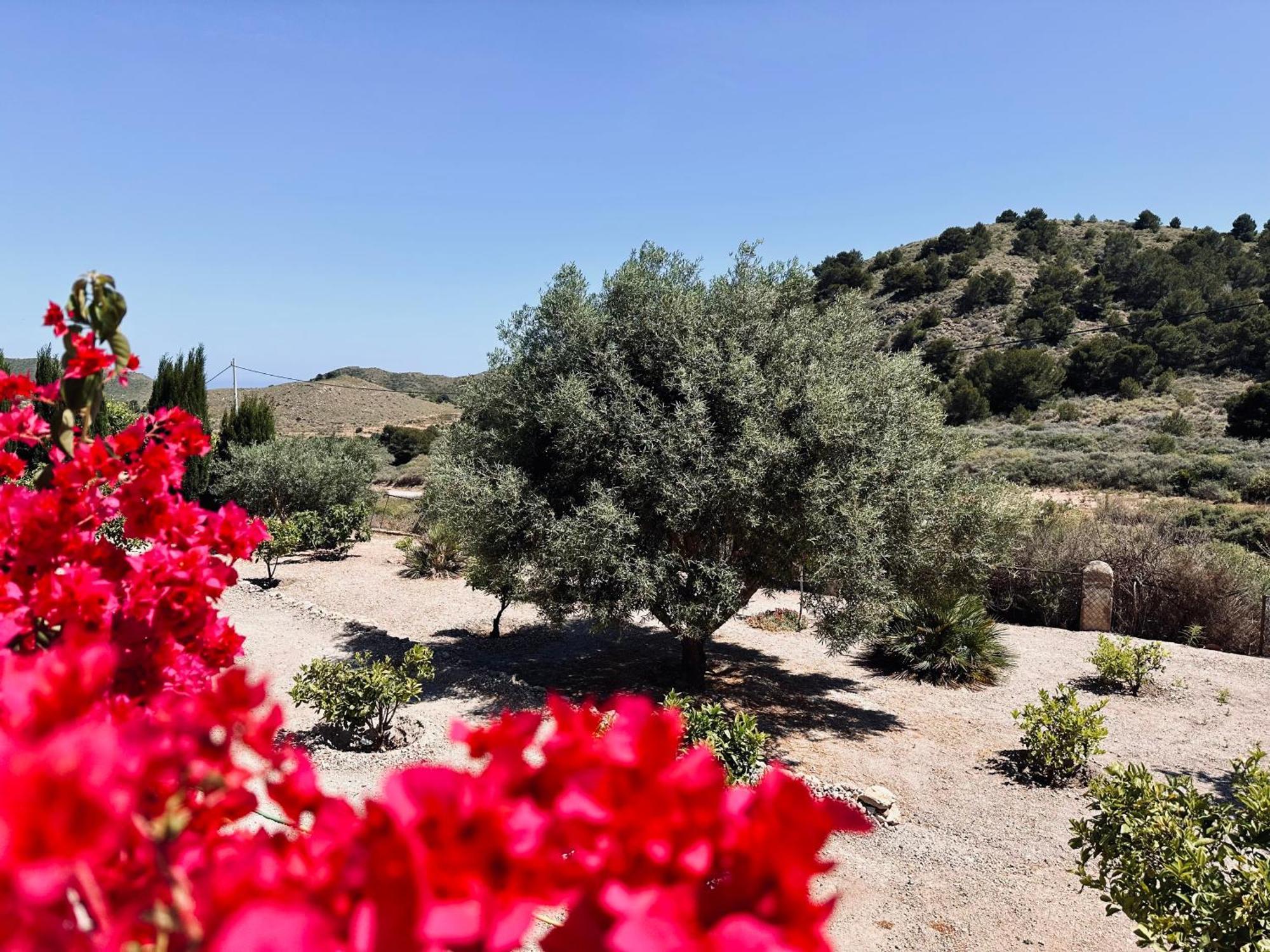 Finca Ocha - Calblanque Los Belones Bagian luar foto