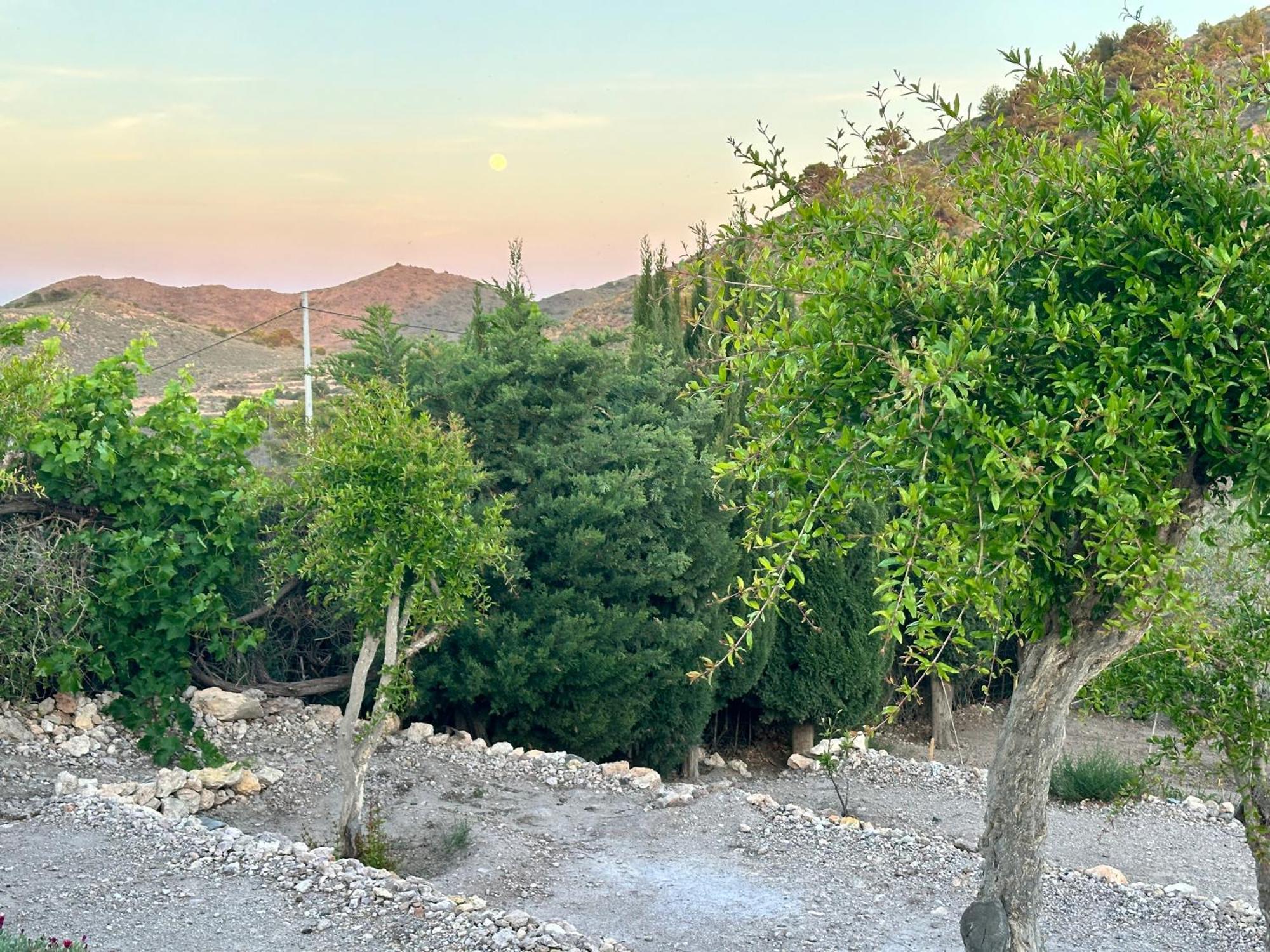 Finca Ocha - Calblanque Los Belones Bagian luar foto