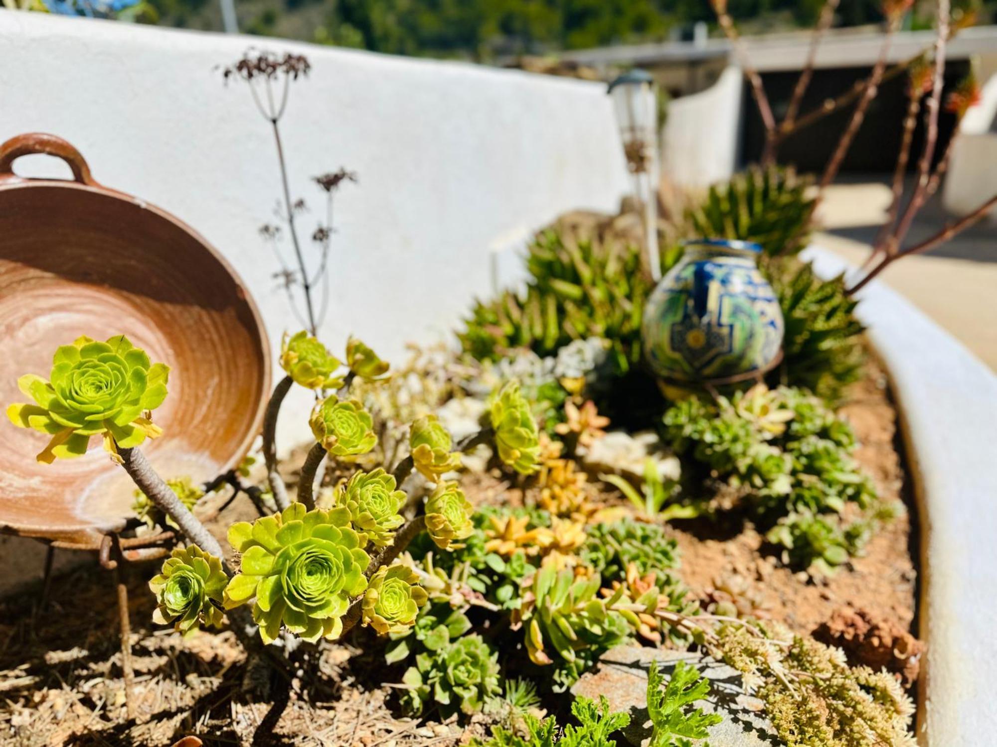 Finca Ocha - Calblanque Los Belones Bagian luar foto