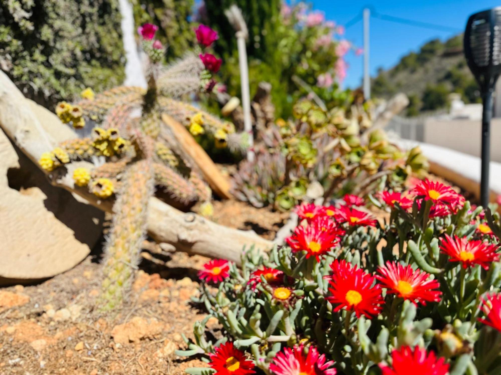 Finca Ocha - Calblanque Los Belones Bagian luar foto