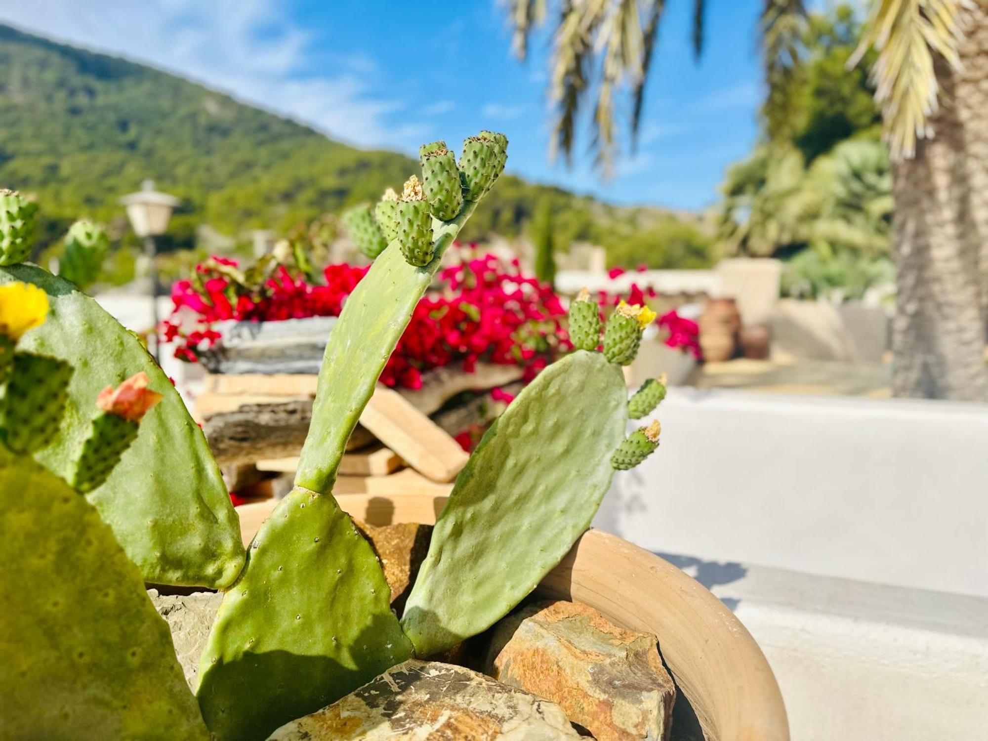 Finca Ocha - Calblanque Los Belones Bagian luar foto