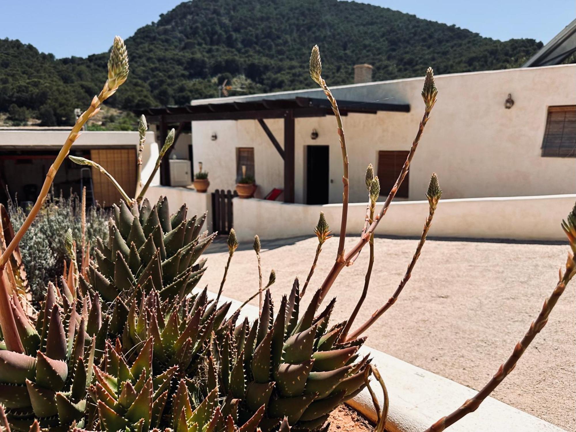 Finca Ocha - Calblanque Los Belones Bagian luar foto
