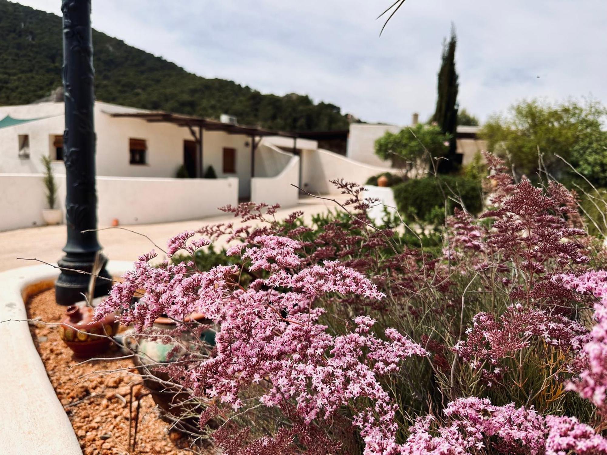 Finca Ocha - Calblanque Los Belones Bagian luar foto